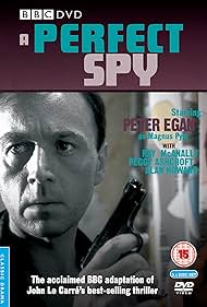 A Perfect Spy