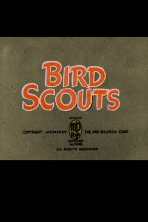 Bird Scouts