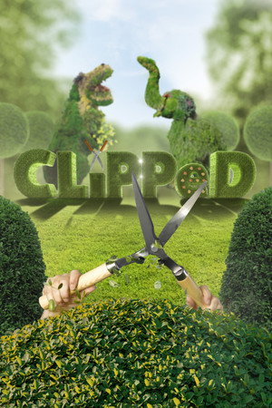 Clipped 