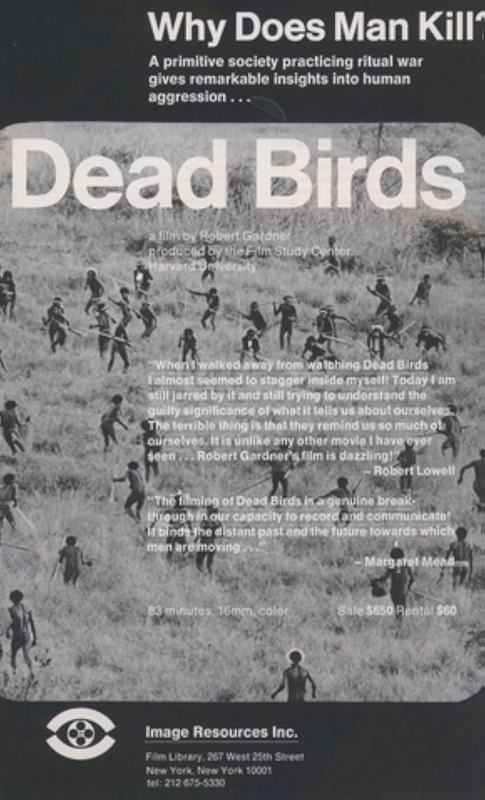 Dead Birds