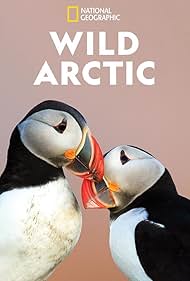 Destination Wild: Wild Arctic 