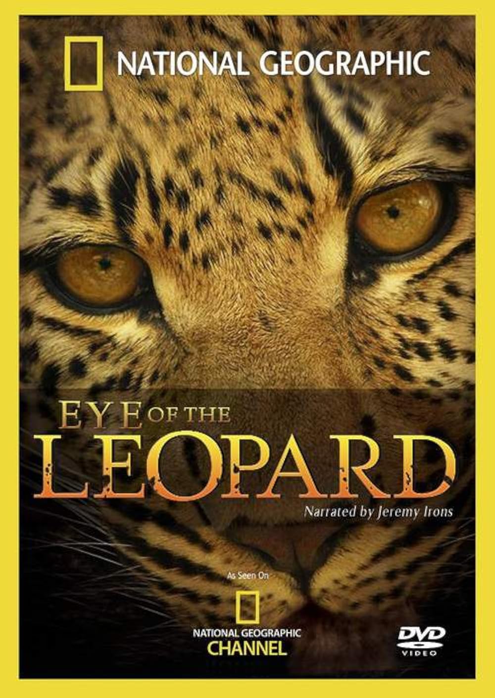 Eye of the Leopard