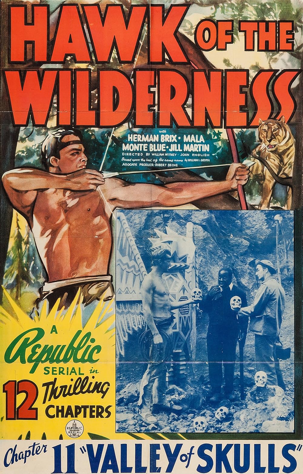 Hawk of the Wilderness