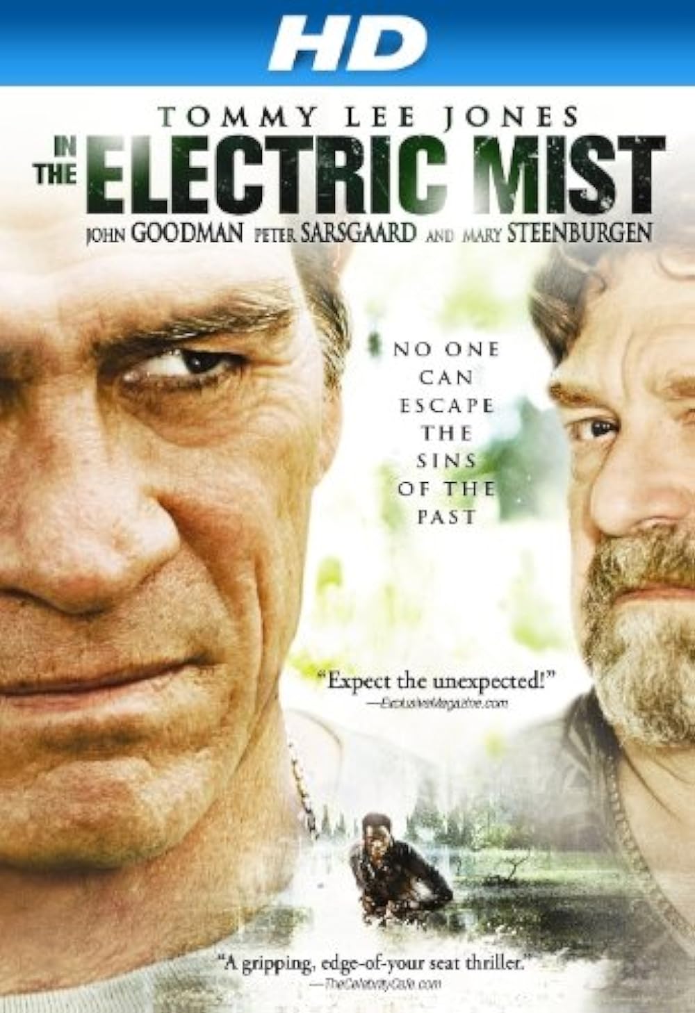 In the Electric Mist