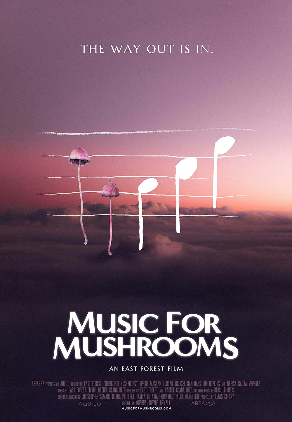 Music for Mushrooms