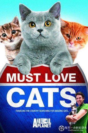 Must Love Cats