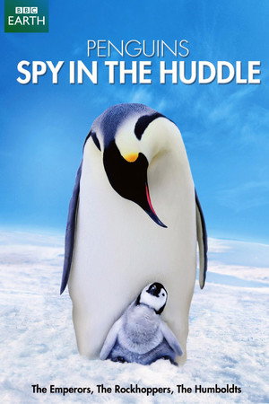 Penguins - Spy in the Huddle