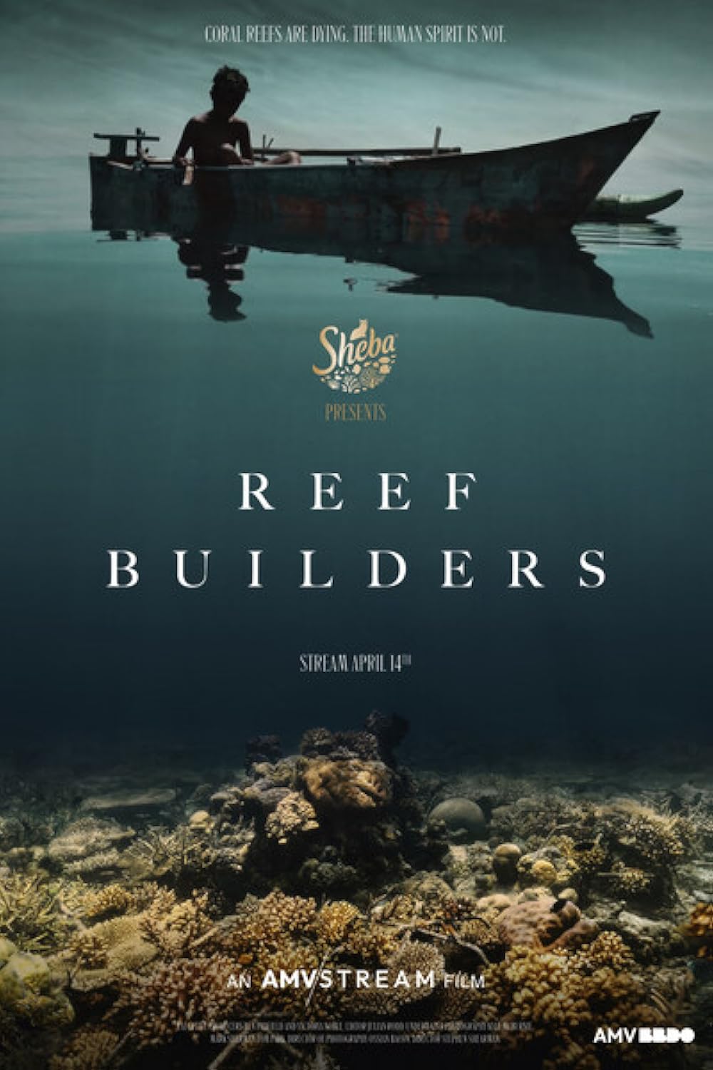 Reef Builders