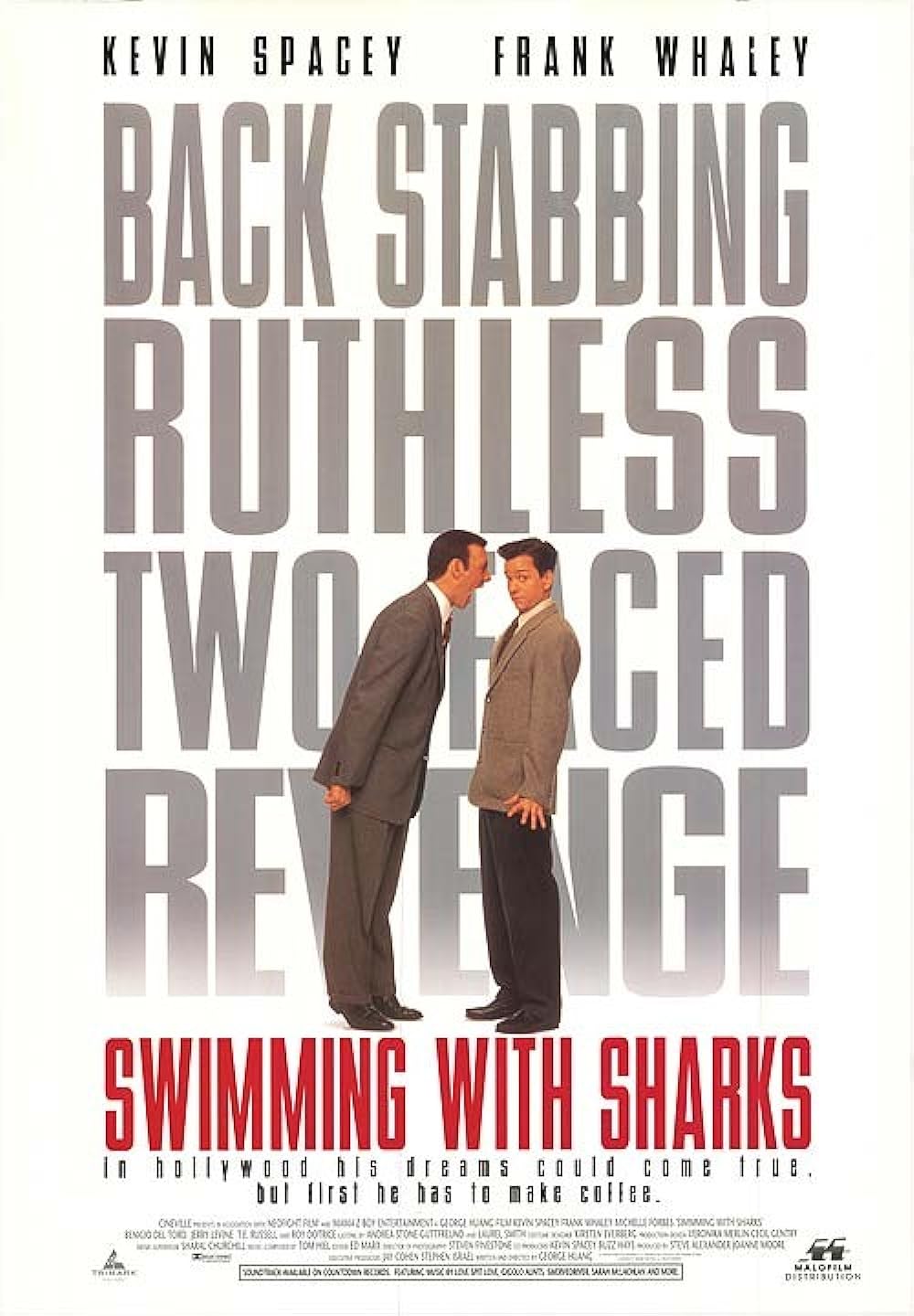 Swimming with Sharks