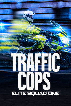 Traffic Cops: Elite Squad One 