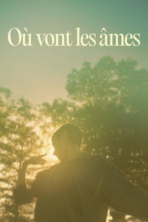 Where Souls Go